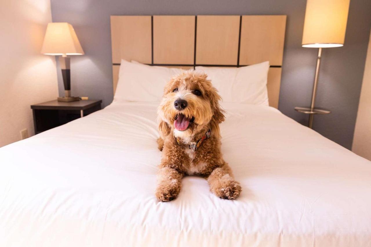 Sonesta Simply Suites Oklahoma City Airport מראה חיצוני תמונה